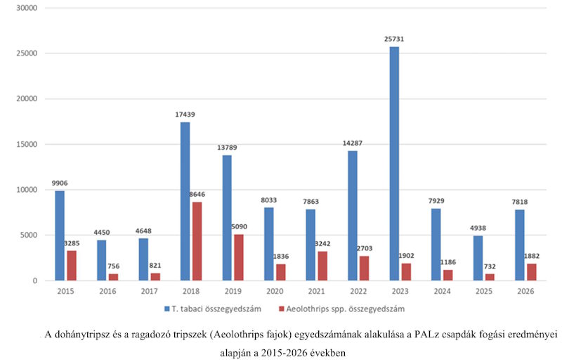 Dohánytripsz és ragadozótripsz éves egyedszámok 2015-2026